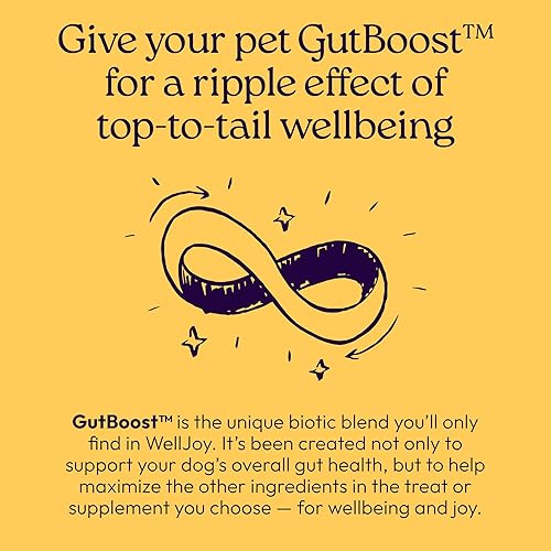 Miniatura 7 de WellJoy Suplemento para perros Immune+ GutBoost  Suplemento de salud para perros  Mejora la respuesta inmune  Formulación GutBoost de doble