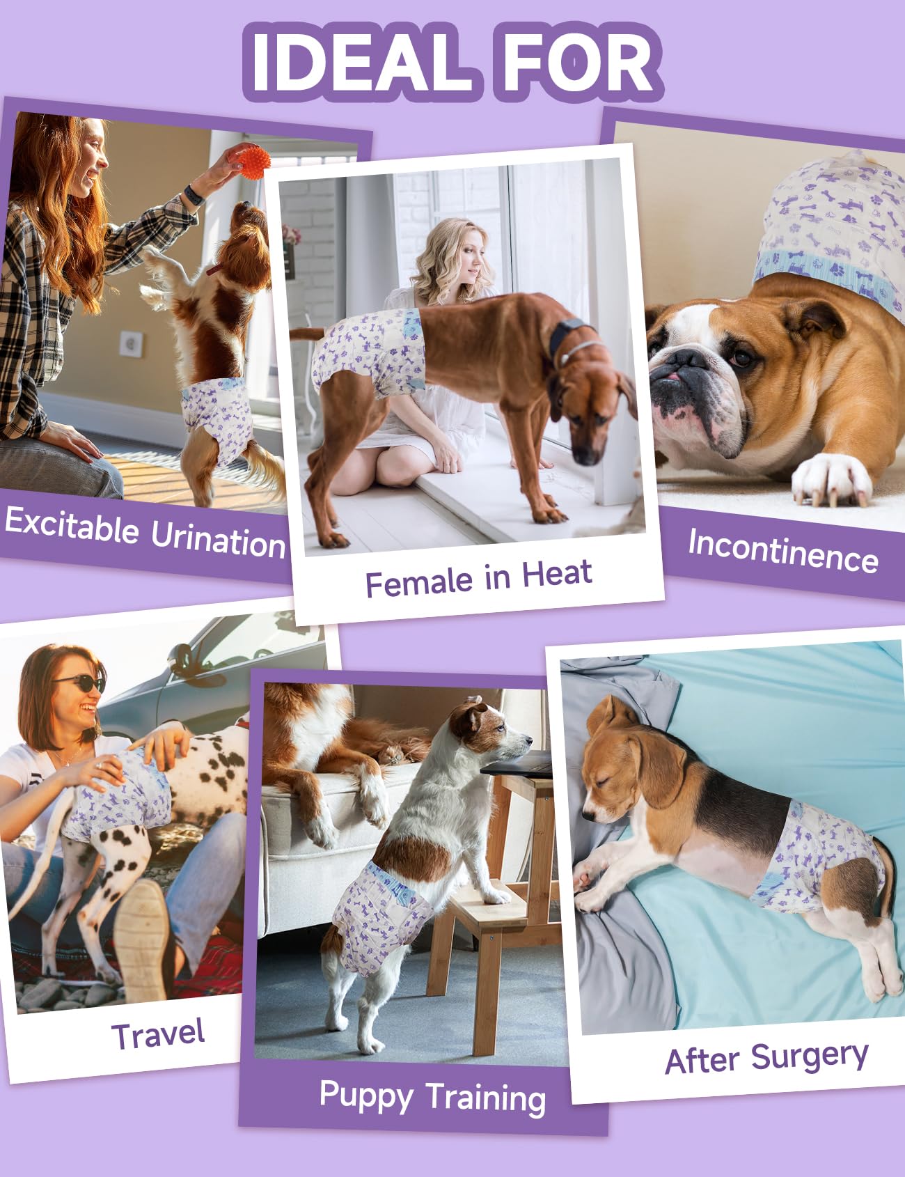 MICOOYO Pañales desechables para perras, pañales para perras, pañales súper absorbentes para mascotas, pañales de espuma para perros hembras para calor, pañales cómodos para cachorros (S, 50 unidades)