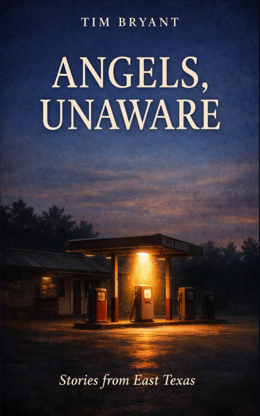 Angels, Unaware: Stories from East Texas