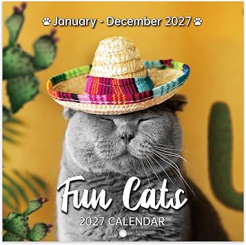 2027 Calendar - 2027 Wall Calendar, JAN 2027 - DEC 2027, Funny Cats Calendar 2027, Wall Calendar 12 Month, Funny Cat Memes Pics, 12 x 24 Open, Unruled Block, Hanging Hole, Holidays