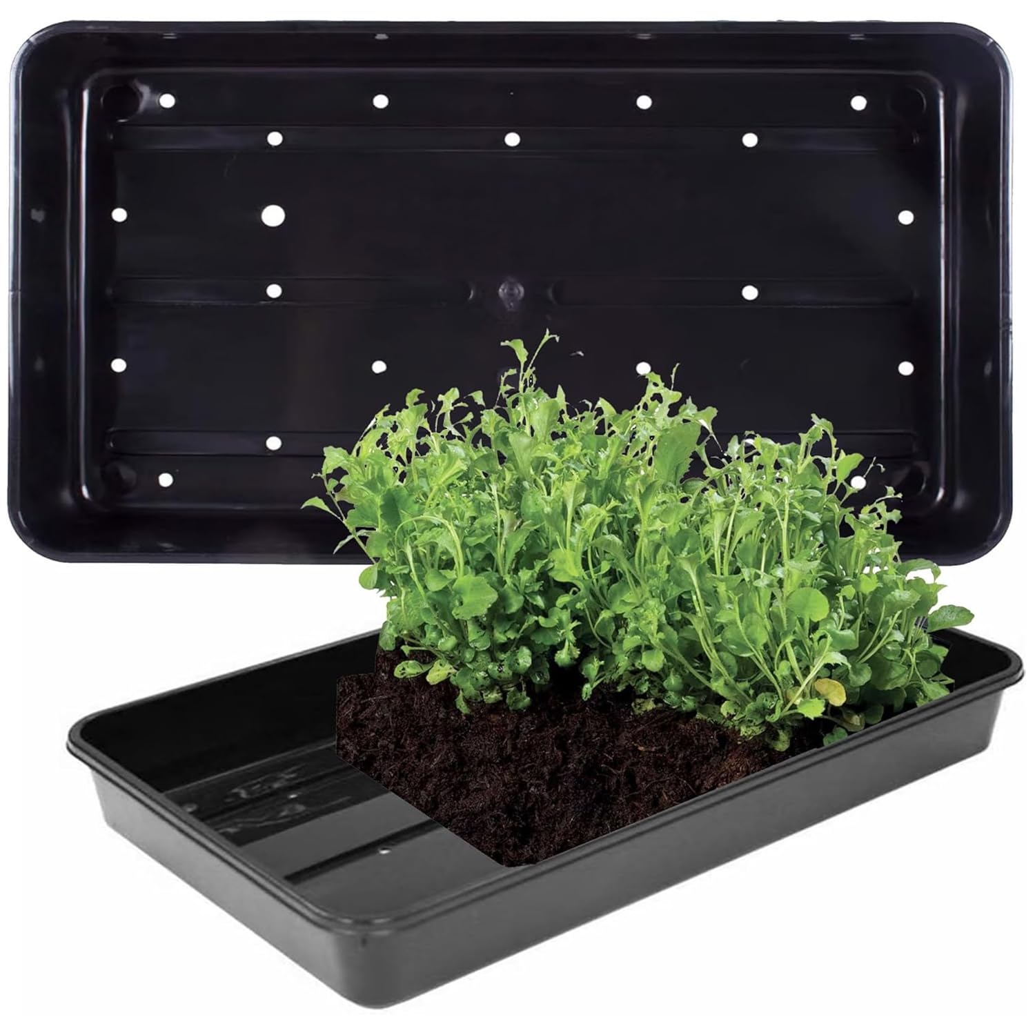 STORM TRADING GROUP Plastic Heavy Duty Seed Trays With Strong Rim For Extra Rigidity Seedling Growing Garden Greenhouse Germination Trays (12)