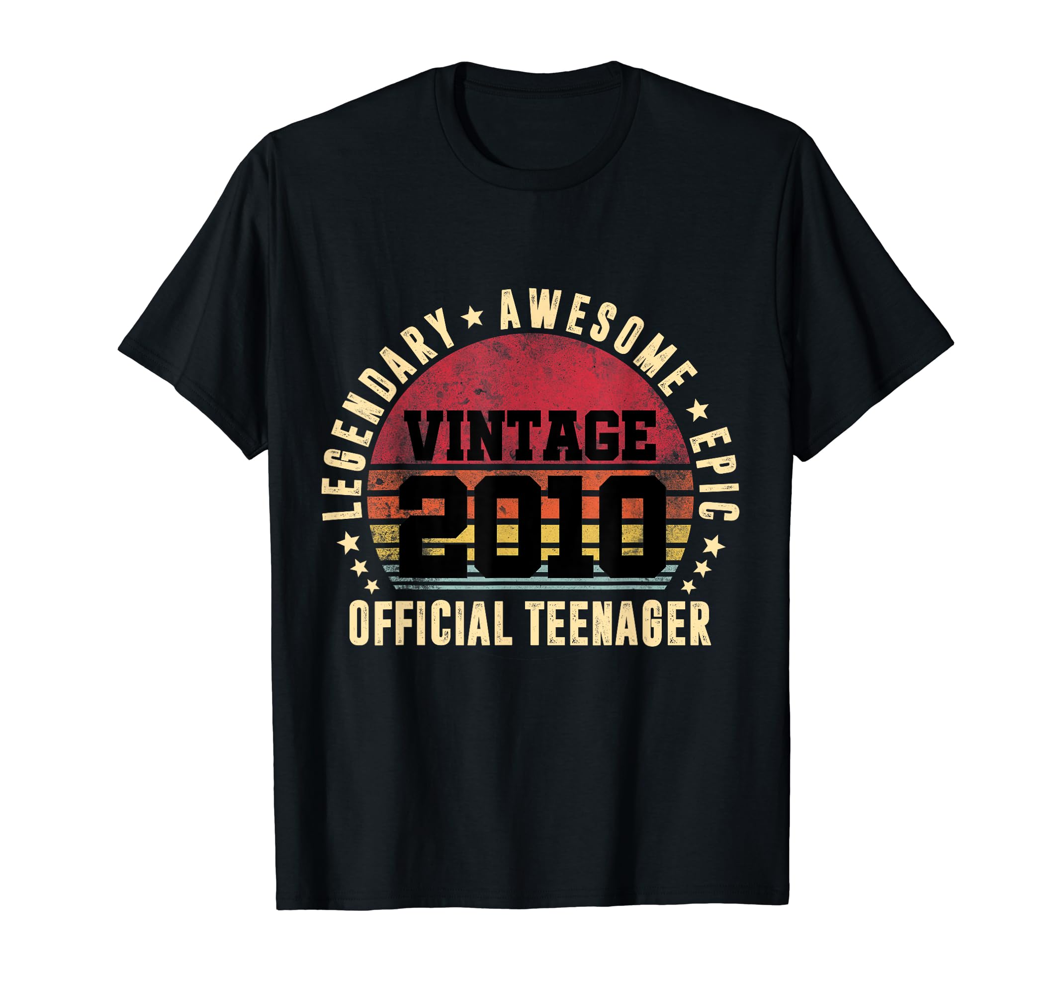 Vintage 2010 13 Year Old Official Teenager 13th Birthday T-Shirt