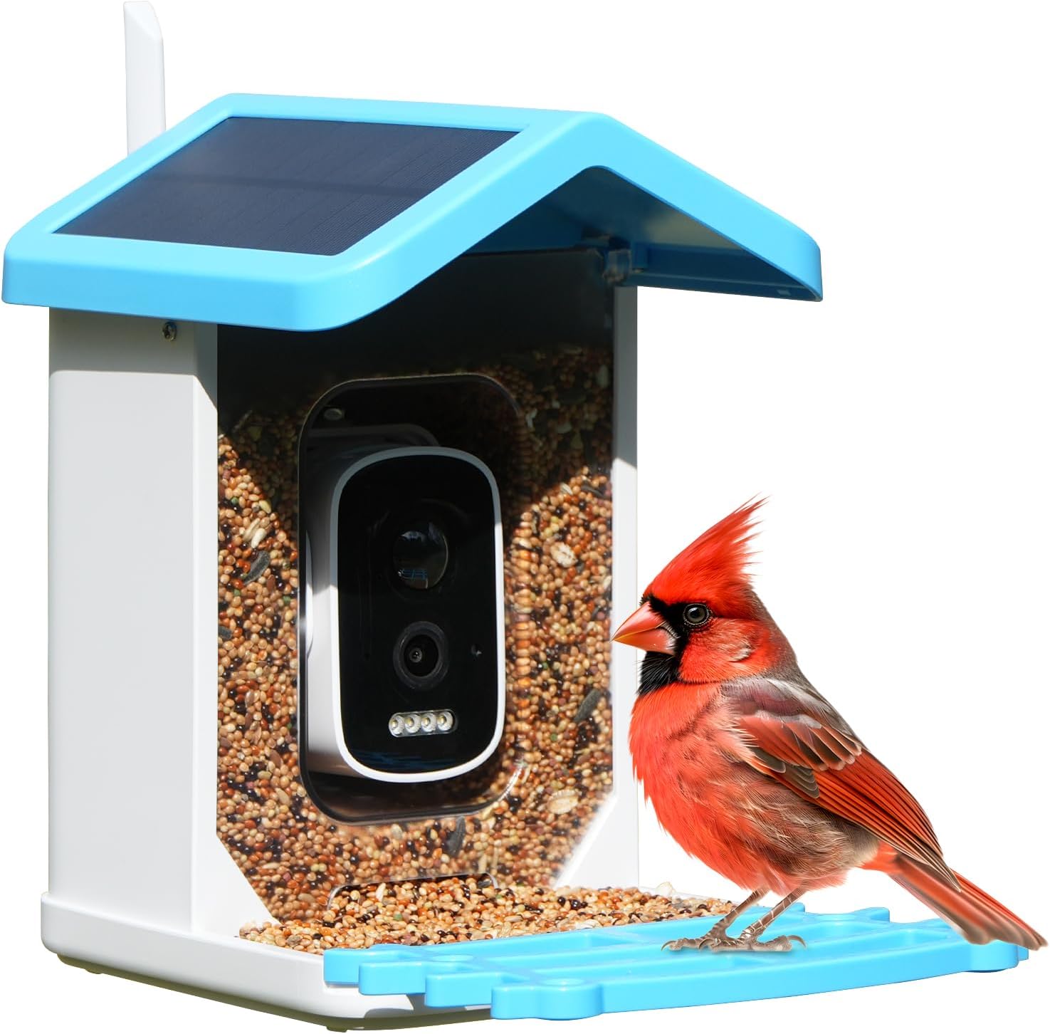 Smart Bird Feeder with Camera - Solar Powered, AI Identify for Effortless Birdwatching, Auto Captures HD Pictures & Videos, Instant Notifications for Bird Lovers Enthusiasts