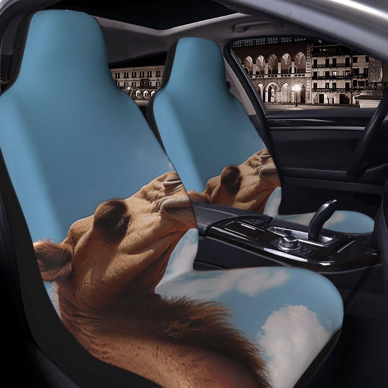 Autositzbezüge, 2 Stück, Camel mit Blick auf den Himmel, Sitzbezüge für Vordersitze, Universal-Sitzschoner, Autositzmatte mit Gummiband, Autozubehör, 2 Stück