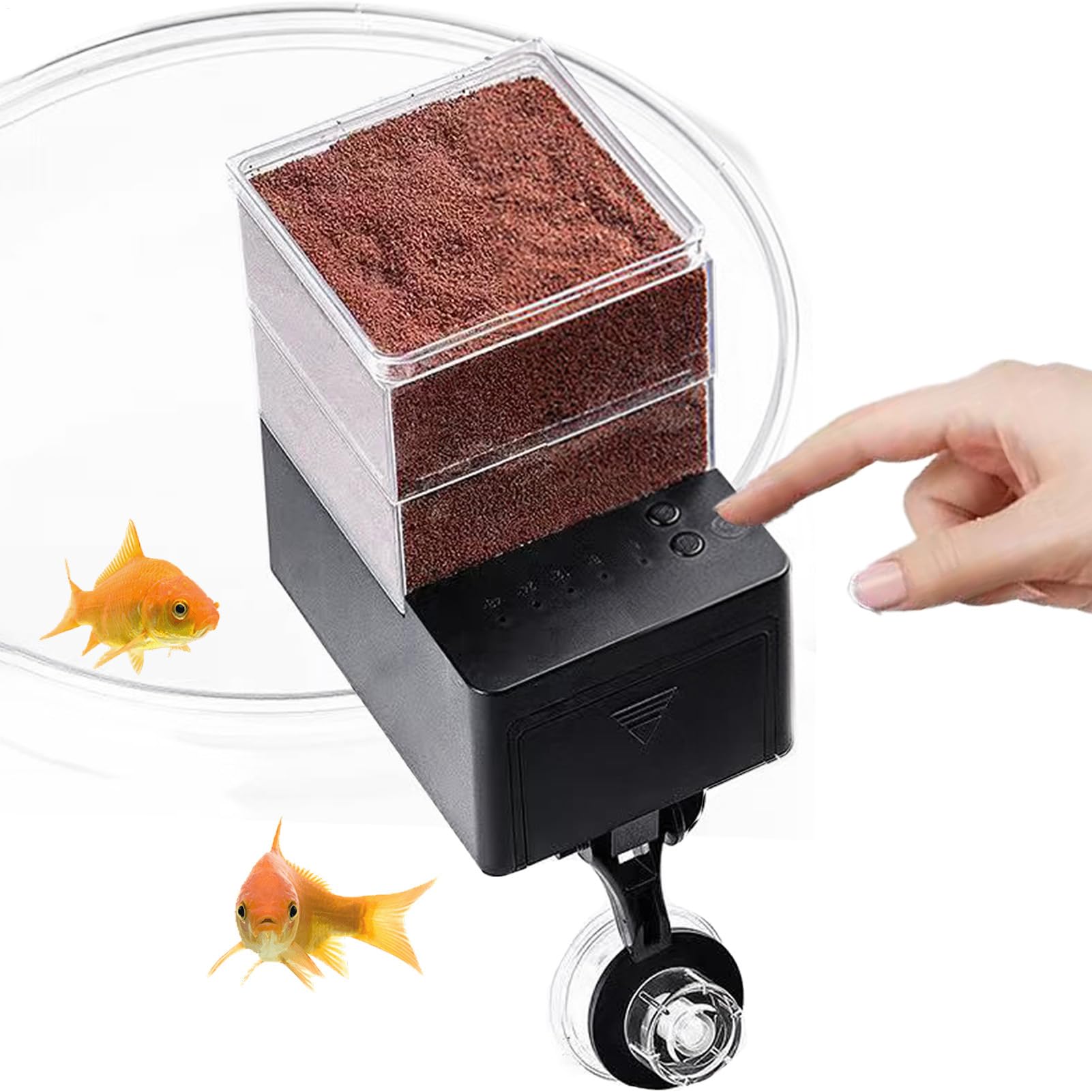 Mangeoire automatique pour poissons d'aquarium et bassin de jardin