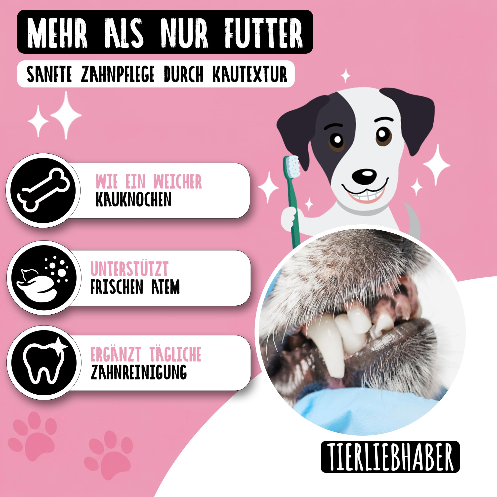 Hundefutter Nass 800g Probierpaket 8 Sorten – Hunde Nassfutter Wet Dog Food | Tierärztlich entwickeltes Hundenassfutter 800g Dosen mit hohem Fleischanteil – Leicht verdaulich von TIERLIEBHABER
