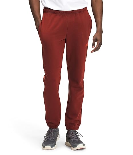 THE NORTH FACE Men's Box NSE Jogger