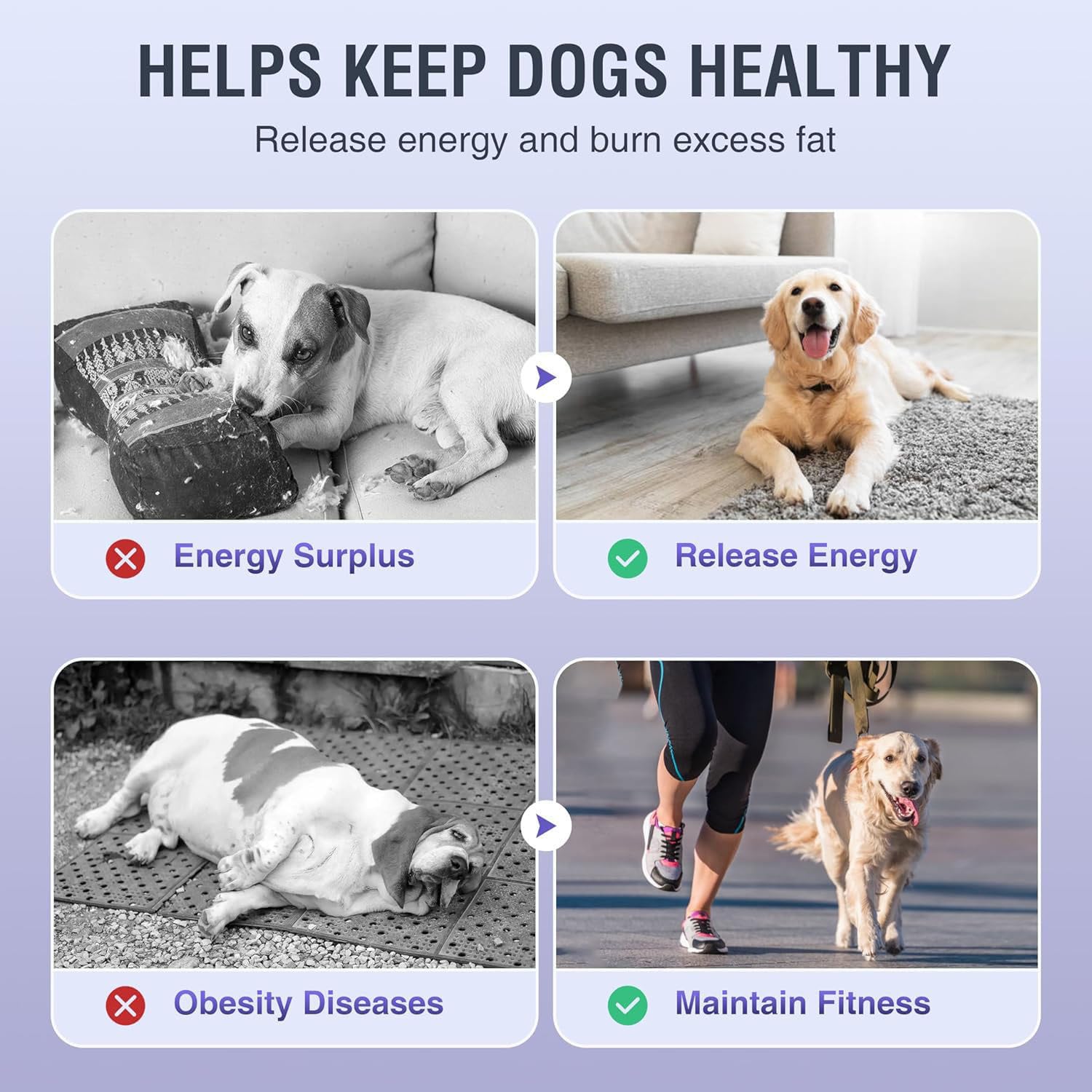 Cinta de Correr para Perros Grandes y medianos, Equipo de Ejercicio para Perros, Cinta de Correr para Perros, rampa Ajustable para Perros, máquina de slatmill con podómetro