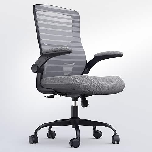 Office Desk Chair for Long Hours & Back Pain Relief