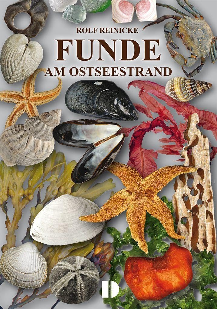 Funde am Ostseestrand