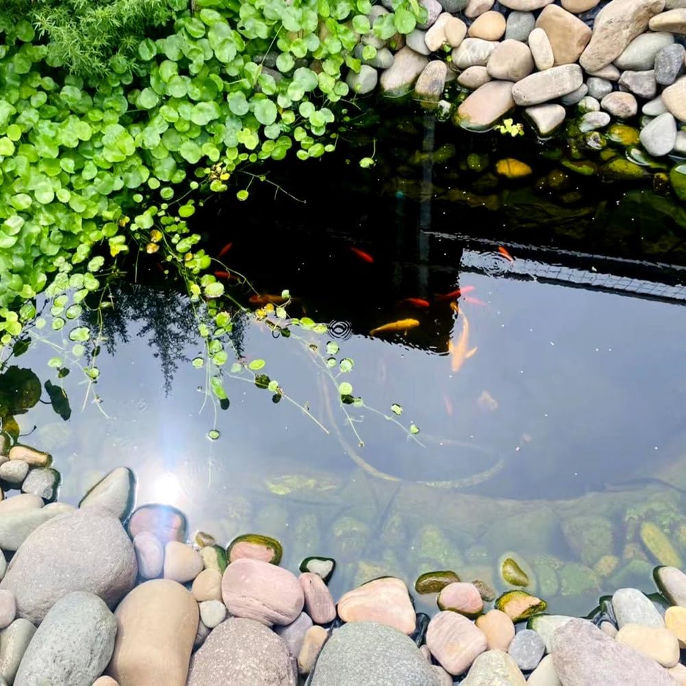 HDPE Teichfolie 1.5x2.0m 2.5x5.0m 4.5x6.0m 6.0x7.0m 7.0x7.0m 8.0x10.0m 10.0x15.0m Schwarz Teichmembran Flexibel Gartenteiche Dichtungsfolie Folie(3.0x5.0m)