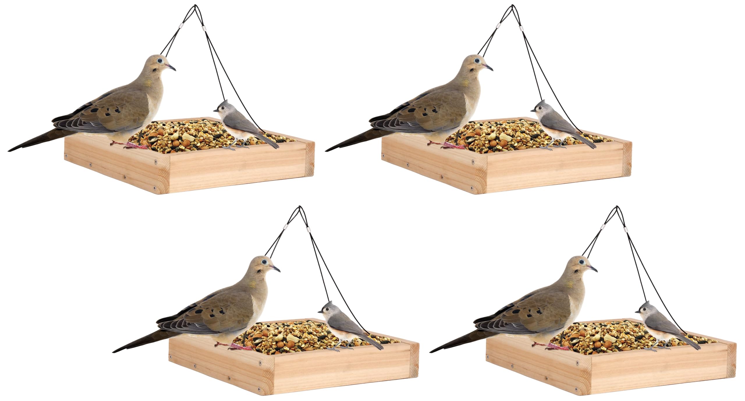 Wild Wings Cedar Tray Bird Feeder | Universal Seed | For Cardinals & Jays | Rust-Free Hardware | Pack of 4