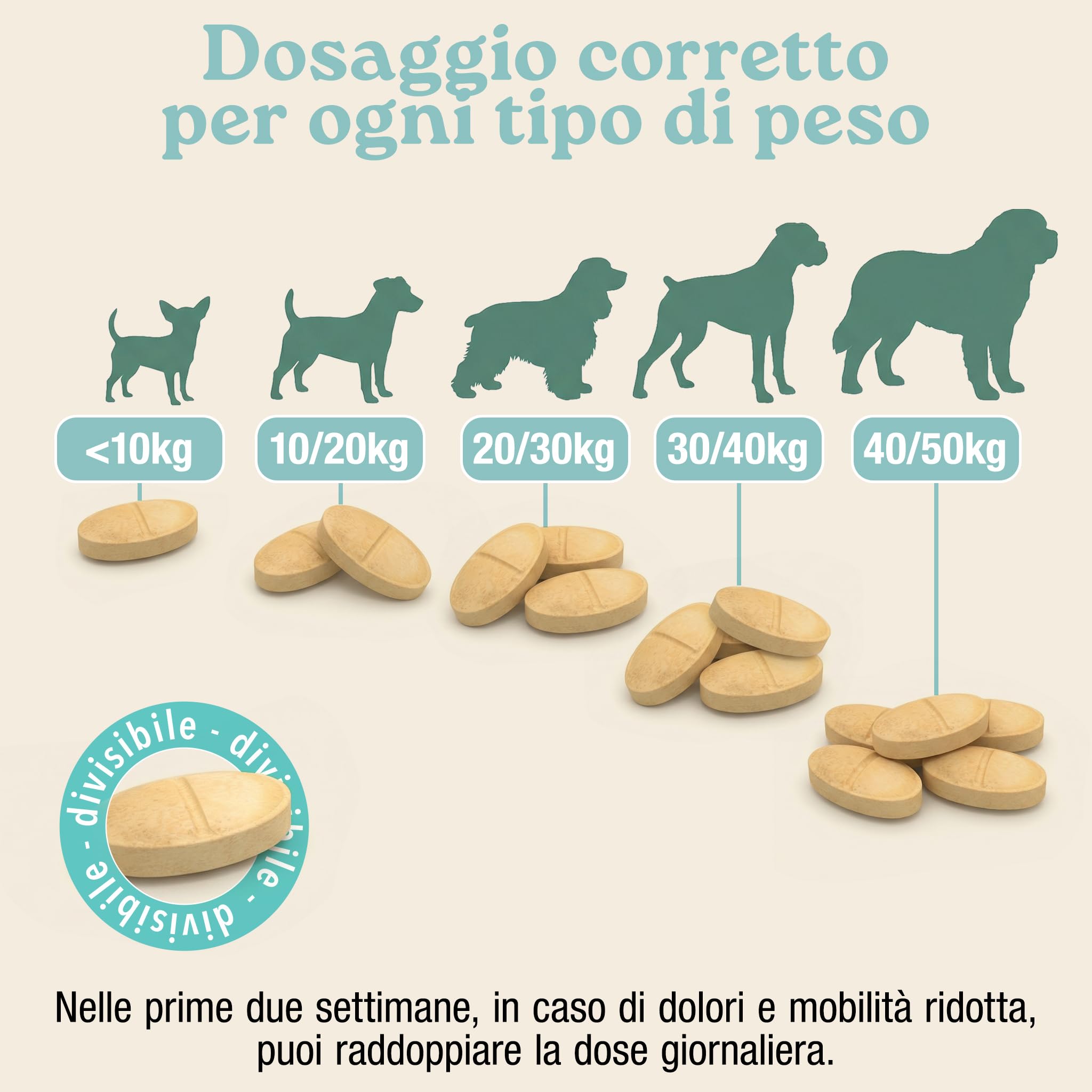 MyPetPrime Articolazioni Cane Mangime Complementare 125 Compresse | Nuova Formula JointSupport con MSM, Polvere di Cozza Verde, Glucosamina, Condroitina e Artiglio del Diavolo