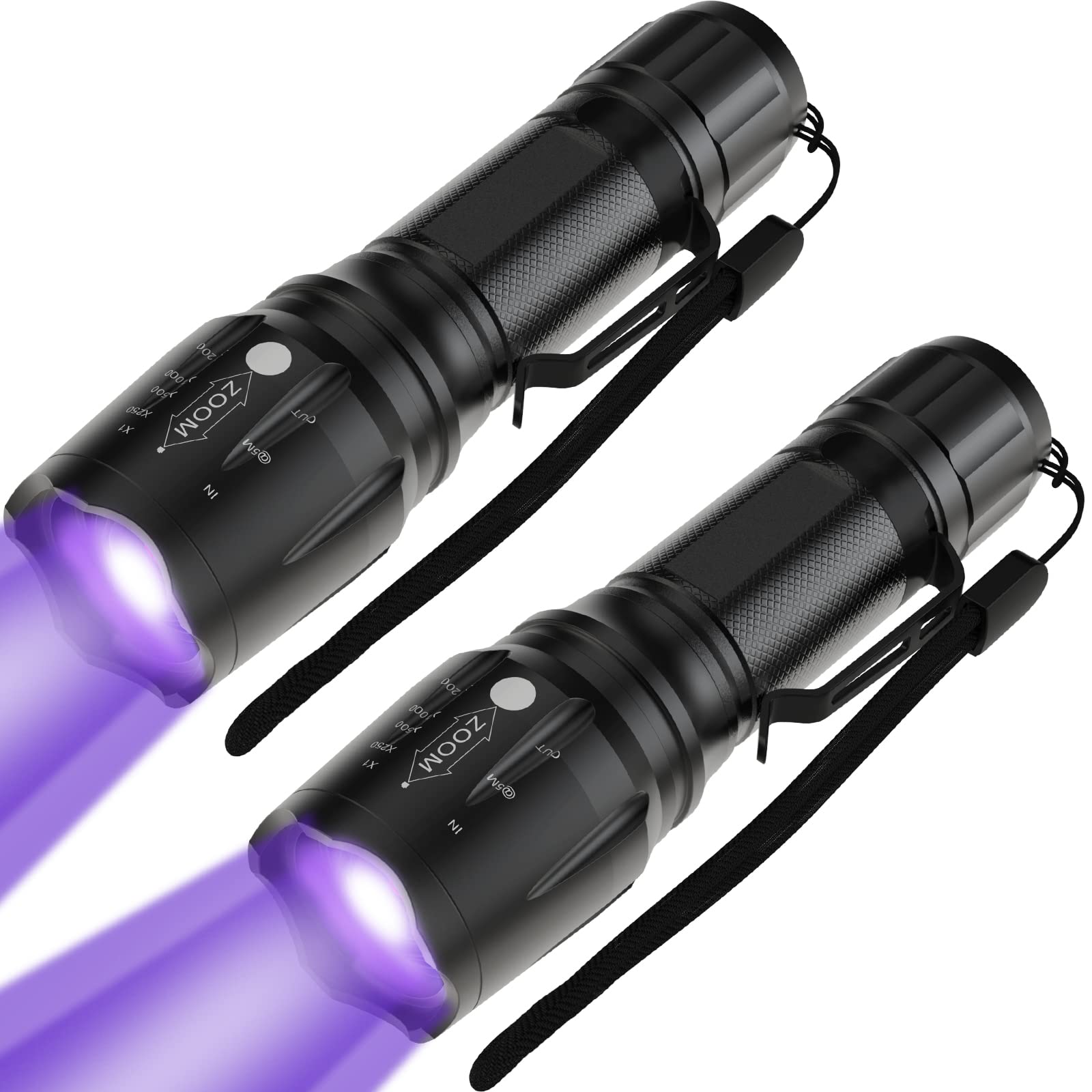 Can A Black Light Detect Dog Urine