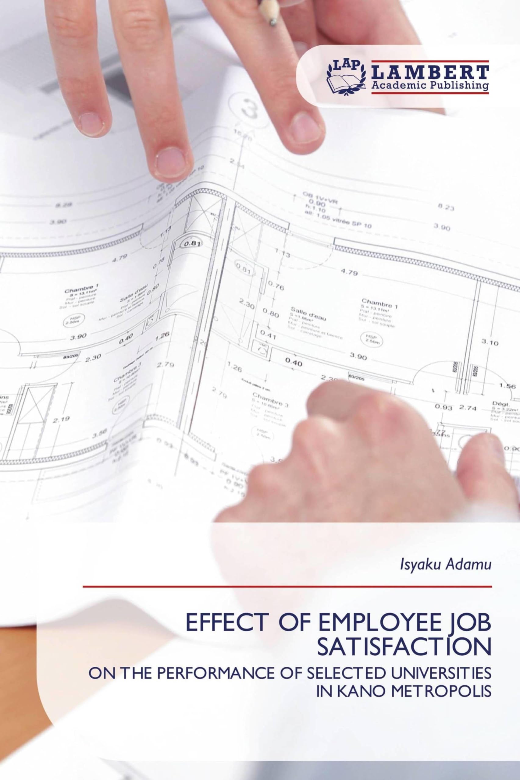EFFECT OF EMPLOYEE JOB SATISFACTION: ON THE PERFORMANCE OF SELECTED UNIVERSITIES IN KANO METROPOLIS