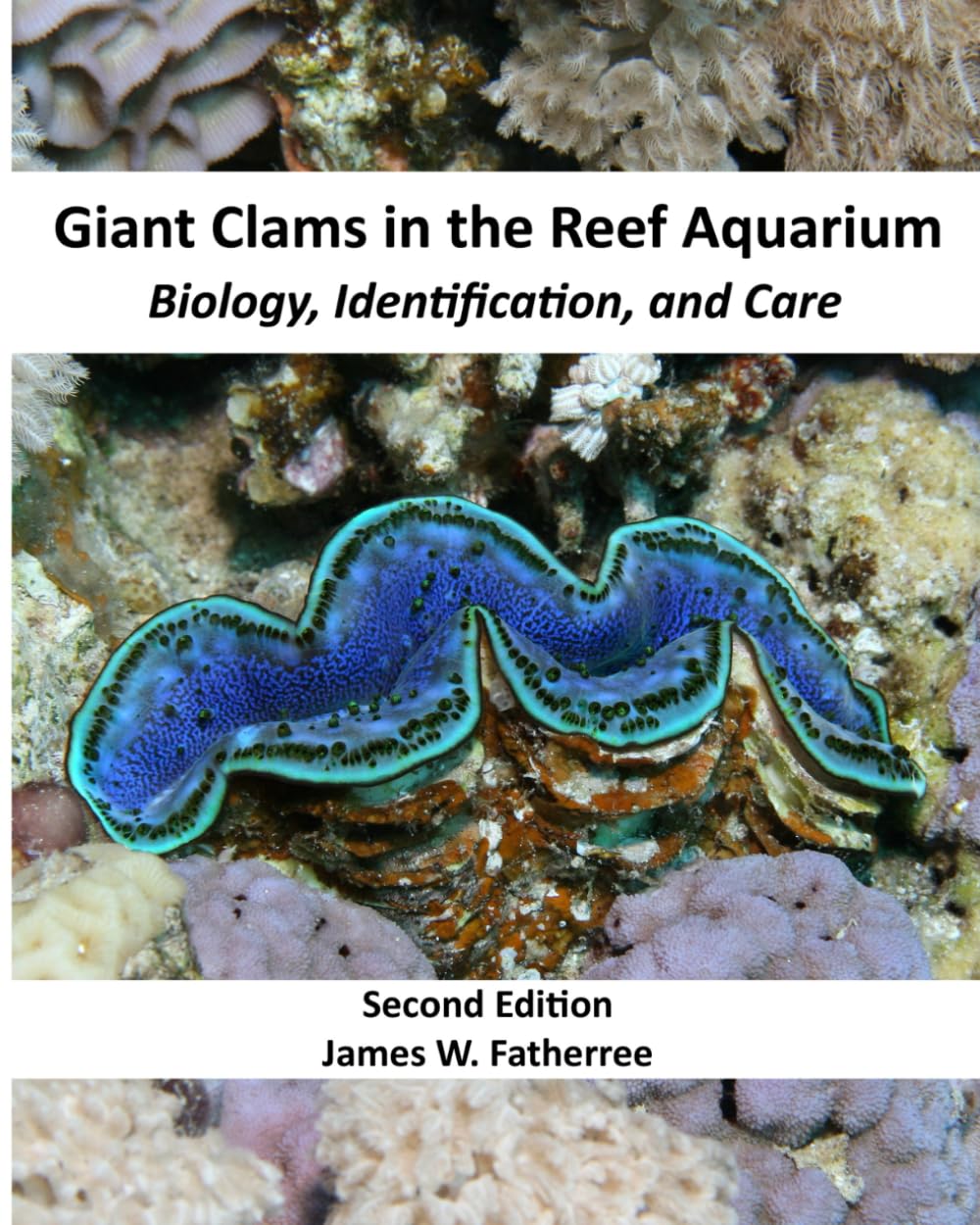 Giant Clams in the Reef Aquarium: Biology, Identification, and Care