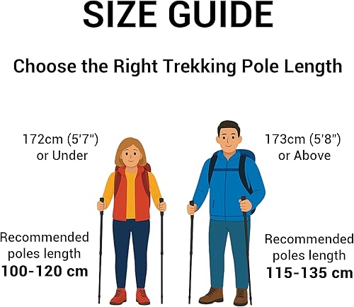 Miniatura 3 de TheFitLife Bastones de senderismo plegables para senderismo  Bastones plegables ligeros para hombres y mujeres con mango de espuma extra largo y
