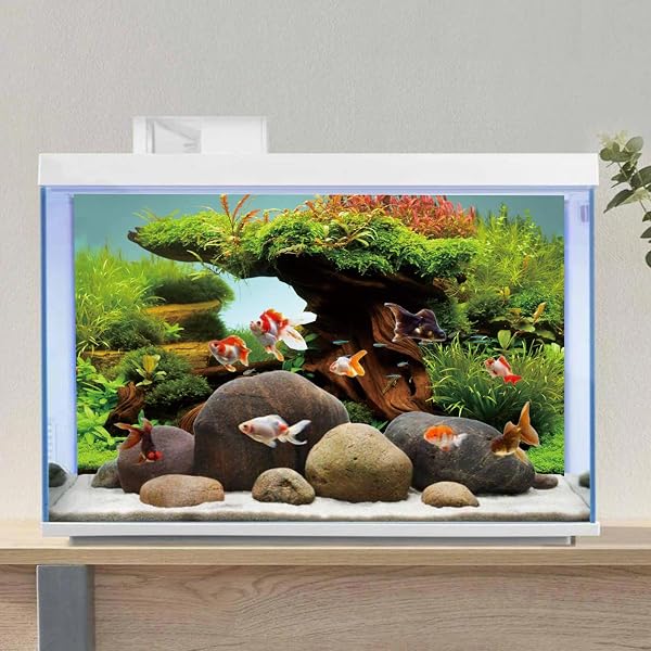 MIRRORANG 120x50cm Bois Fish Tank Fond algues Aquarium Fond rivière lit et lac Aquarium Fond Vinyle Fond - 4