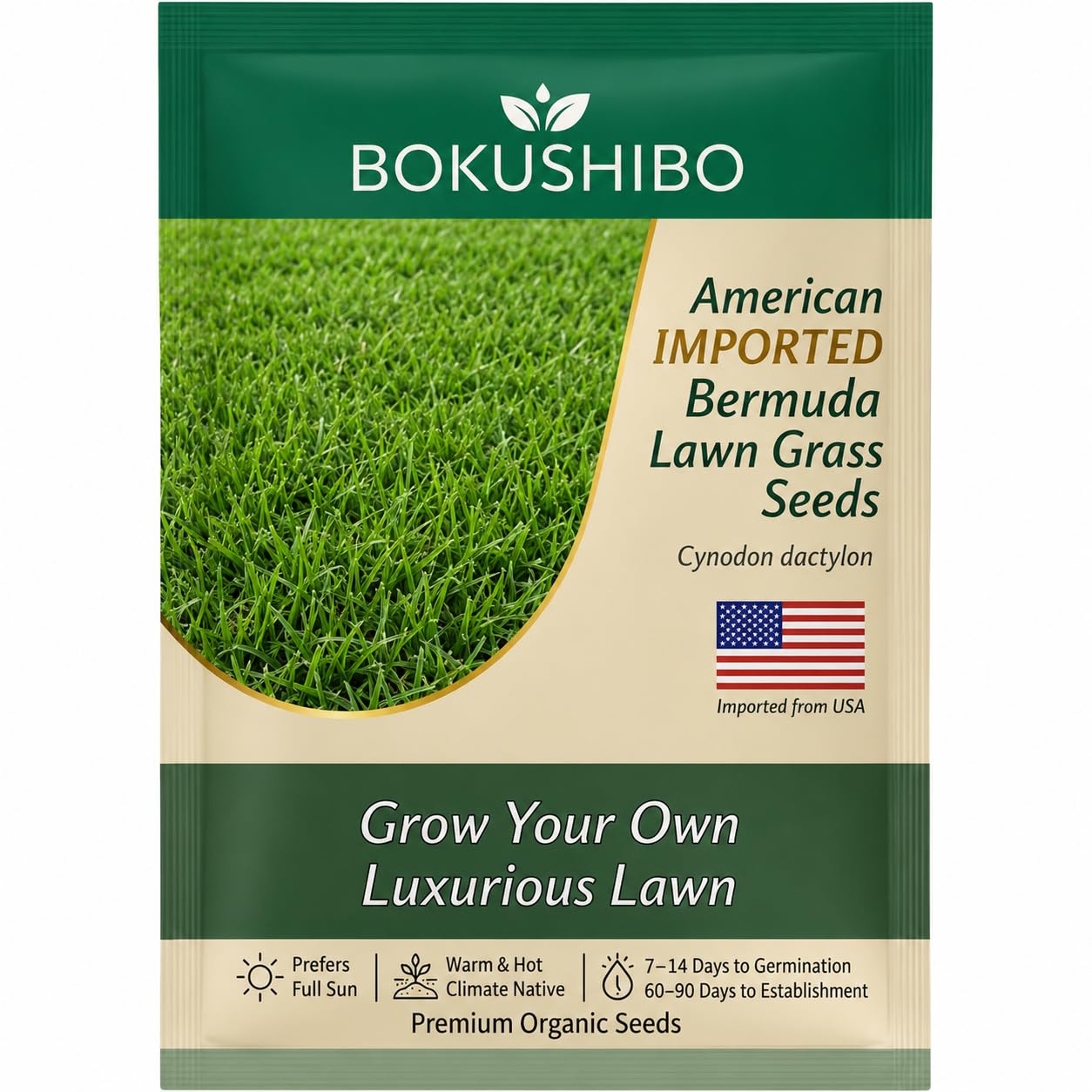 American Imported Bermuda Lawn Grass Seeds | High Germination Fine Blade Velvet Turf | Fast Growing Perennial Carpet Grass Seeds for Home Garden, Ground & Golf Course (1000 mg)-image-11
