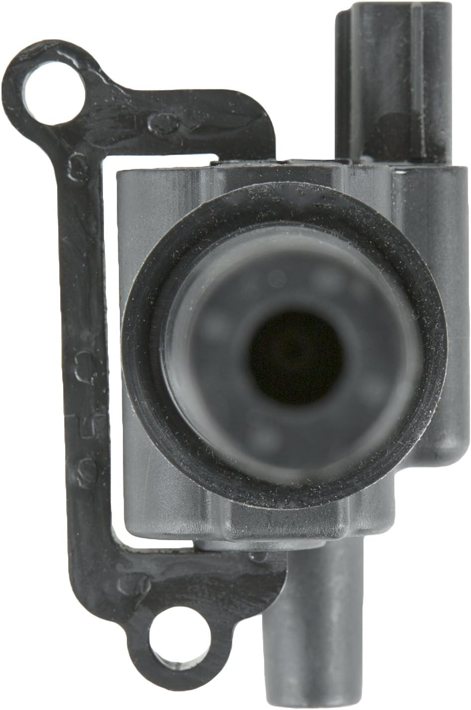 Delphi GN10384 Plug Top Ignition Coil