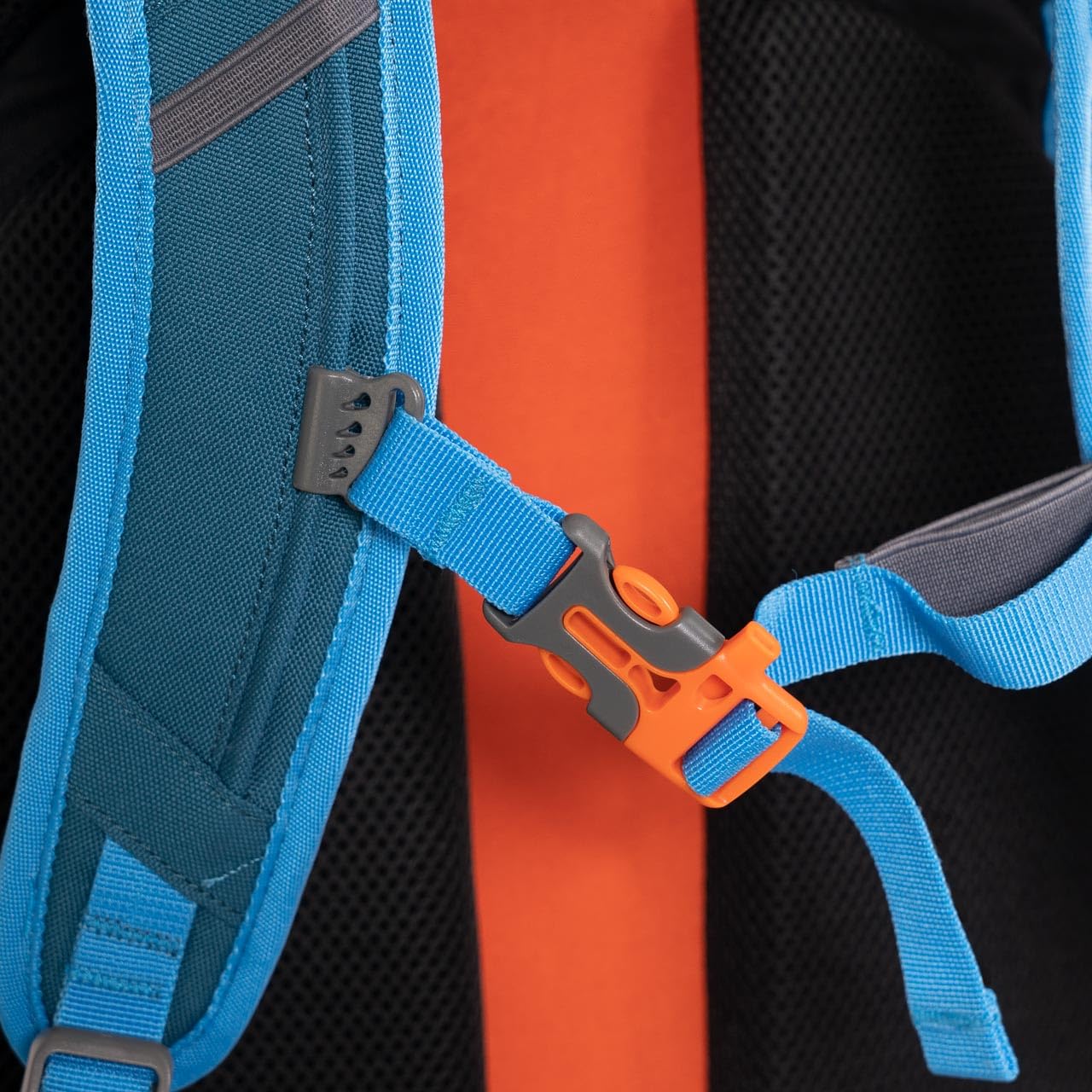Alpinus - Wanderrucksack Peyto 22 L, Rucksack Sport und Outdoor, Stadtrucksack Große Hauptkammer, Robustes Material, Backpacking Ergonomisch Geformte, Trekkingrucksack - Blau