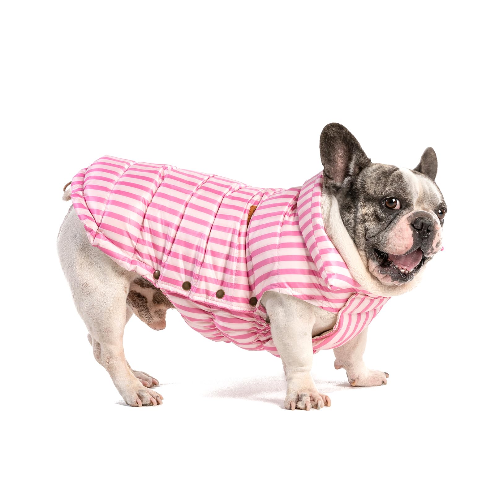 SPACE LION Daunen-Winterjacke Für Hunde – Wasserdicht, Winddicht, Verstellbar, Größe S-XL (Rosa)