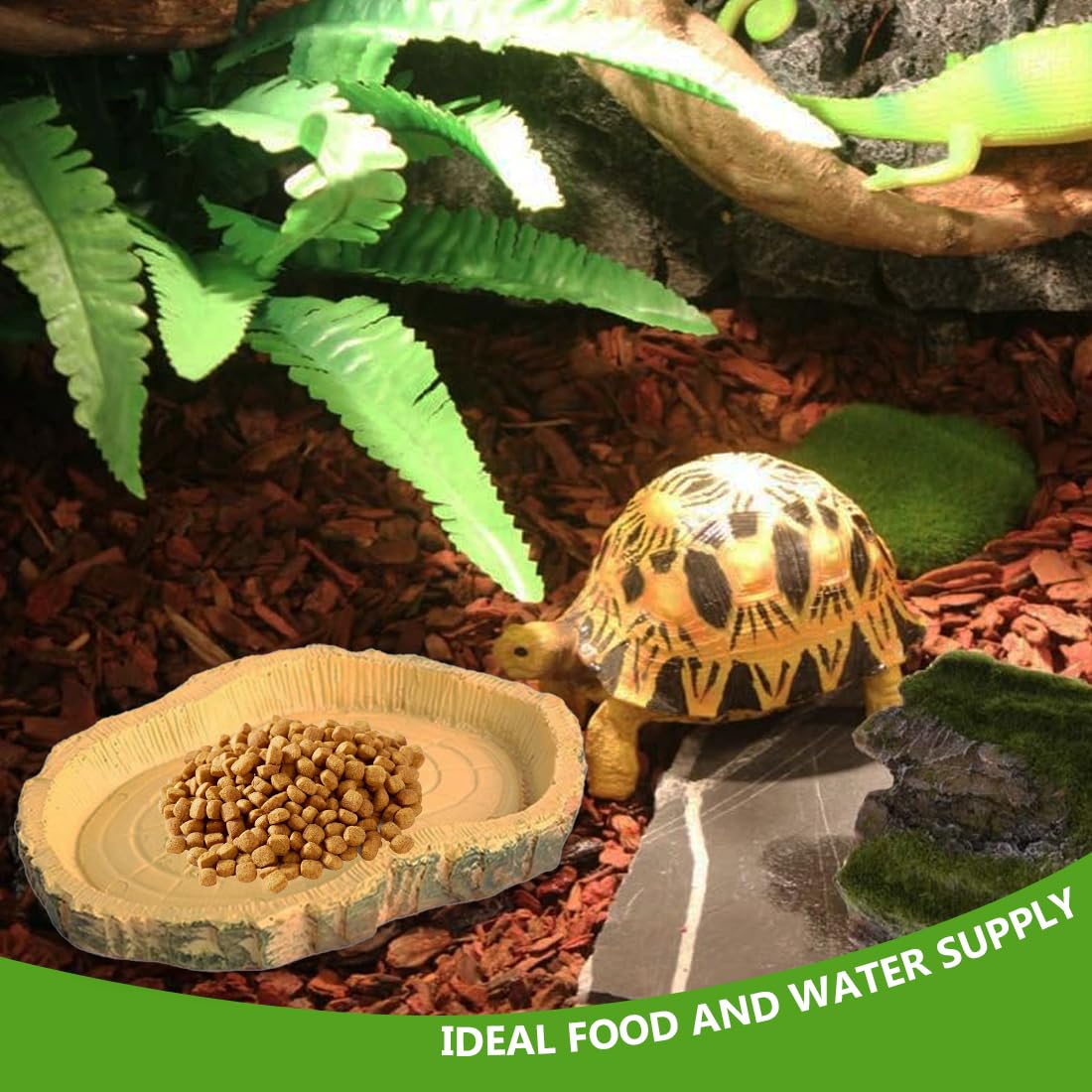 2 Bols Pour Reptiles Avec Pinces - Mangeoire Et Abreuvoir Terrarium - Design Pierre, Stable - Pour Lézards, Tortues