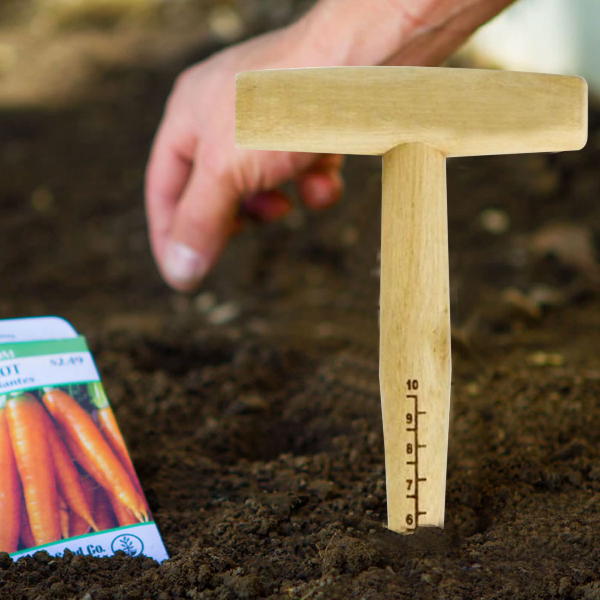 Planteur à Main En Bois Et Acier - Outil De Jardin Précis Pour Semis Et Bulbes