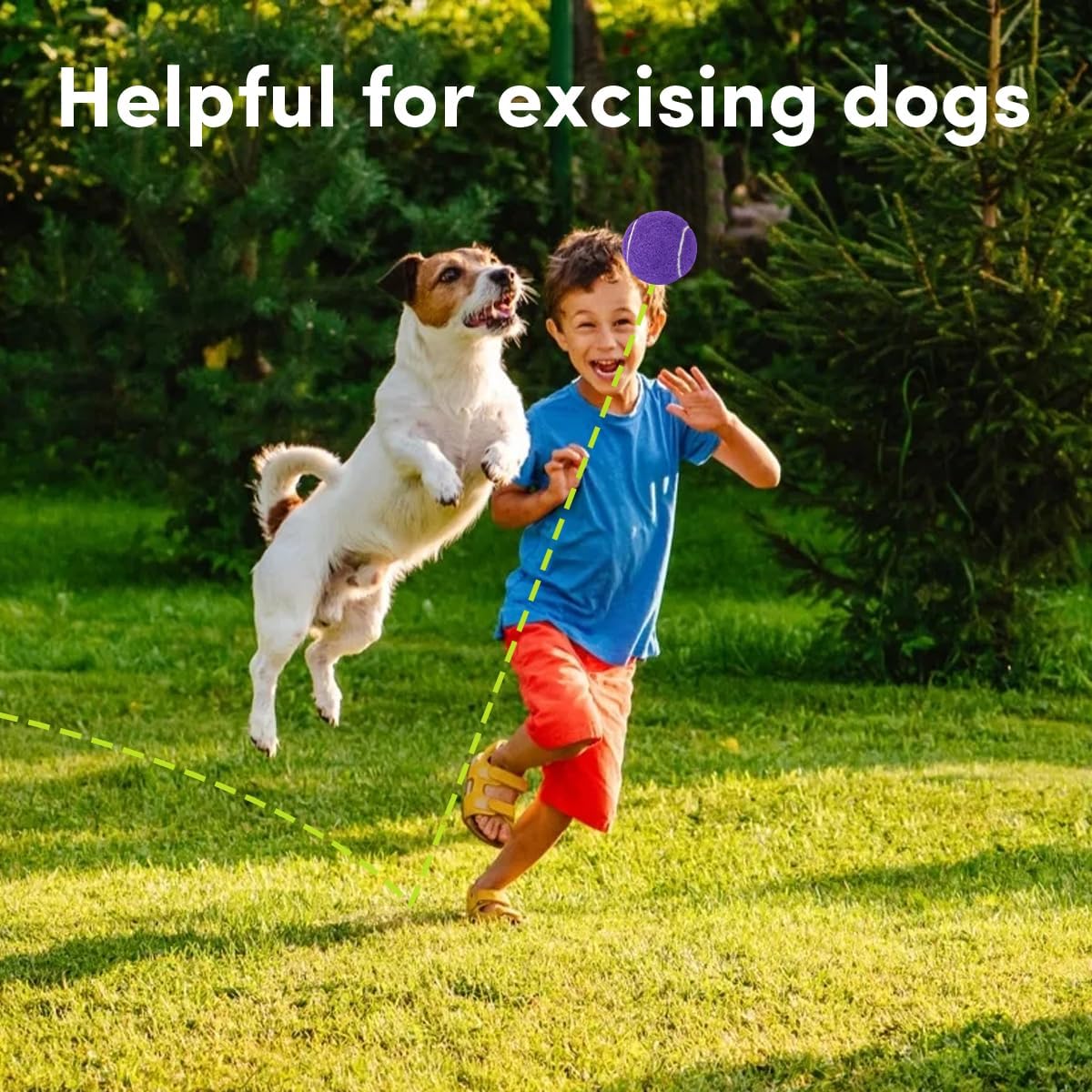 ZIYIZE Mini Tennis Balls, 6 Pack 2 inch Dog Tennis Balls, Easy Catching Pet Playing Ball for 2 inch Dog Ball Launcher Colour Mixture