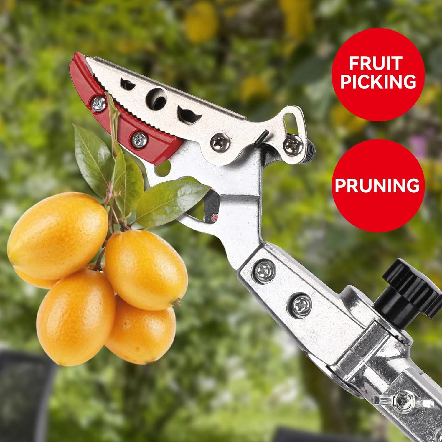 Extendable Tree Cutter, 3.67-5.45 FT Telescopic Pole Pruner, Lightweight Aluminum Handle, Teflon-Coated Blade, Cuts Up to 1/2 Inch, Ideal for Fruit Picking & Tree Branch Cutting | LFX101