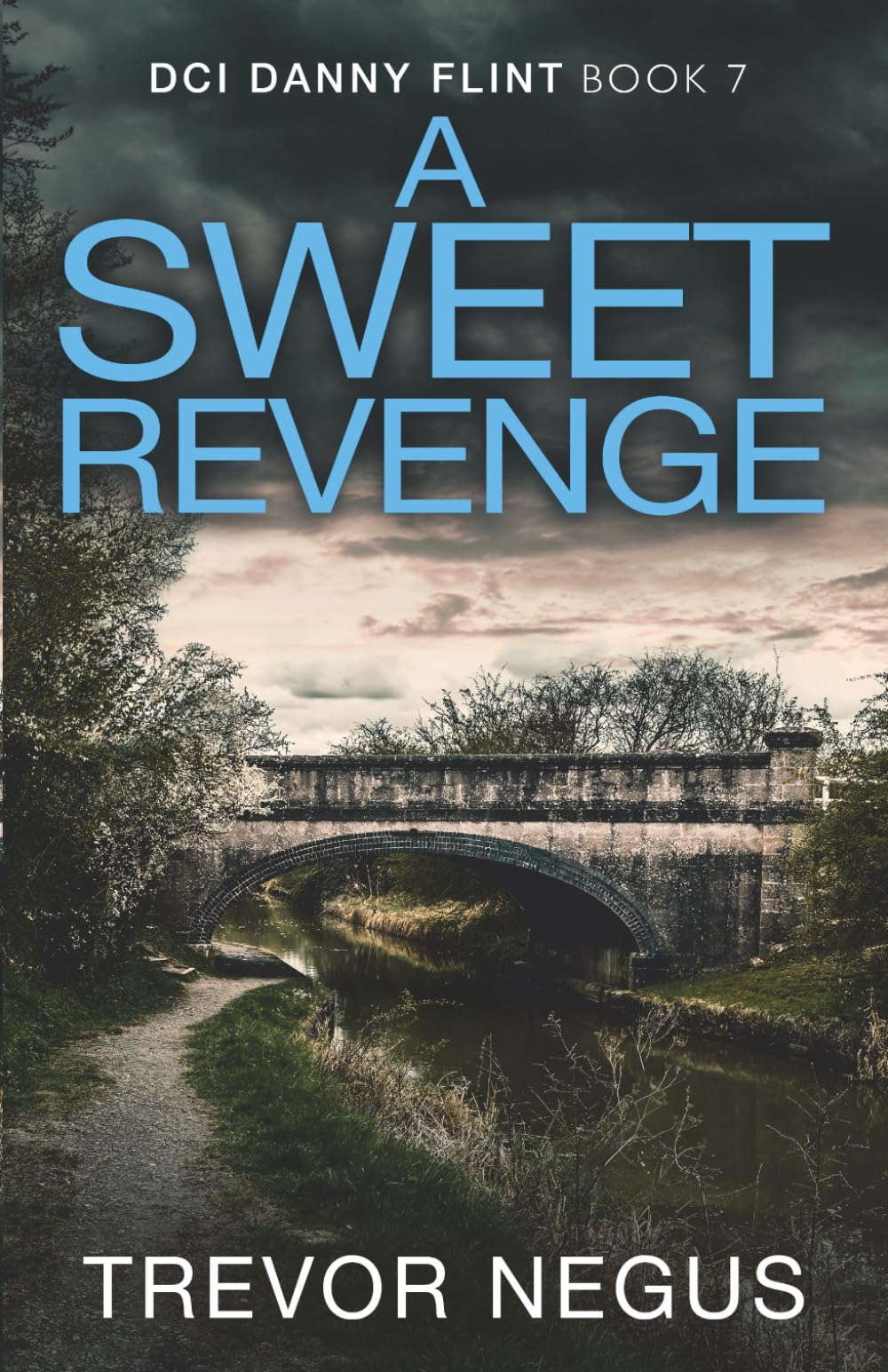 A Sweet Revenge (DCI Danny Flint)