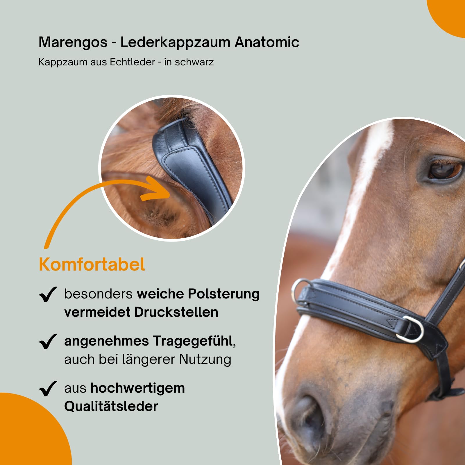 Marengos - Lederkappzaum Anatomic – Kappzaum aus Echtleder – anatomisch & gepolstert – Edelstahl-Beschläge – ideal zum Longieren & Bodenarbeit – braun o. schwarz – Pony, Warm- & Vollblut