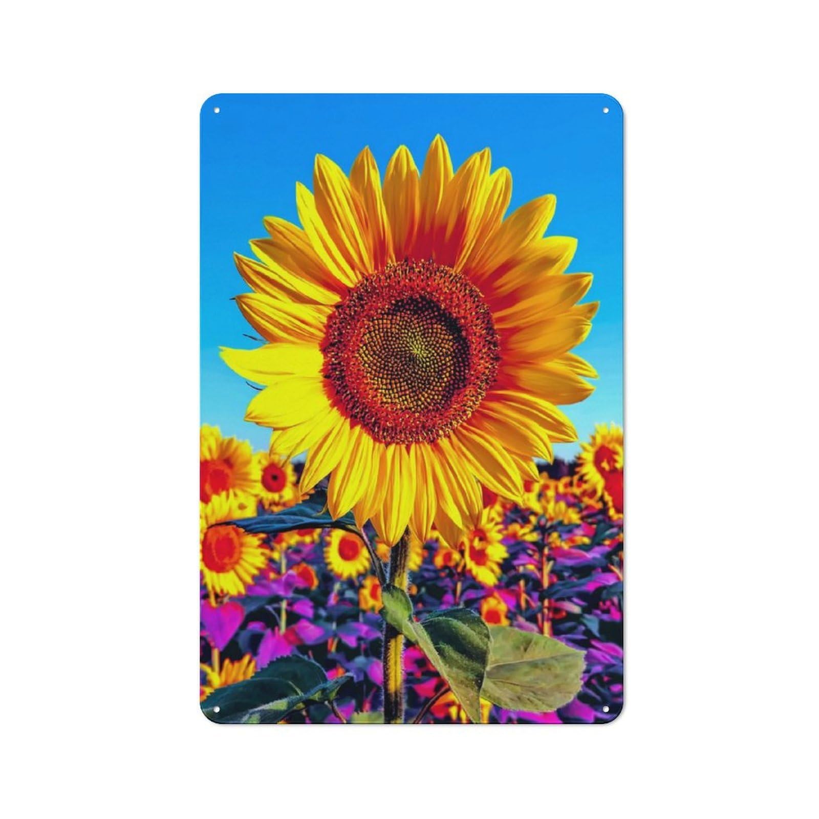 Bright Sunflower Field Country Metal Wall Decor 30x20cm, Tin Wall Plaque for Cottage, Kitchen, Hallway Or Breakfast Nook