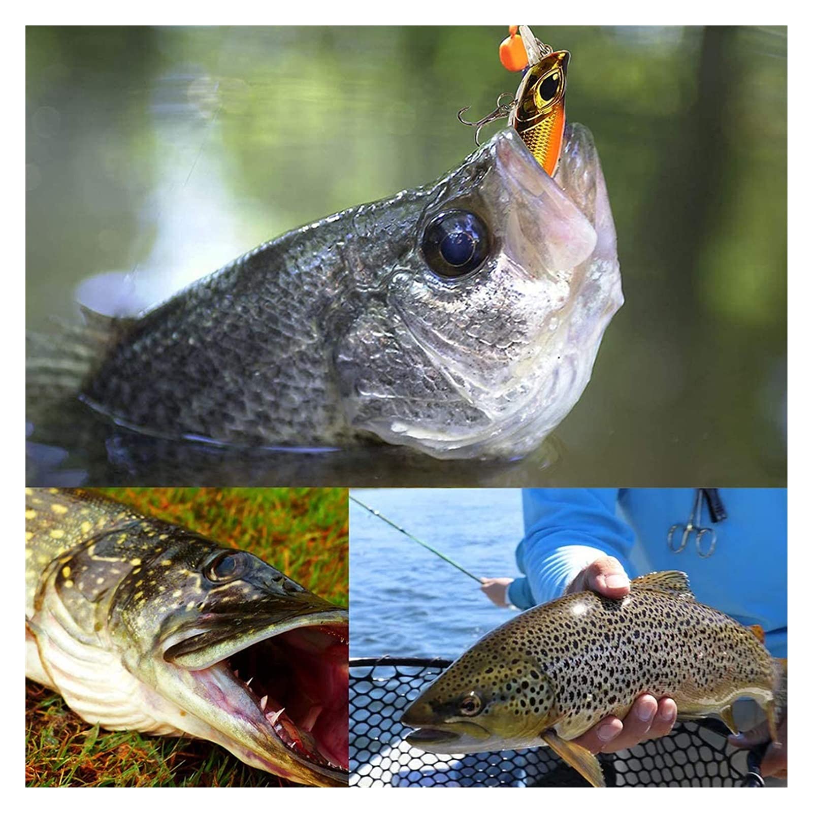 Kunstköder Angelköder Crankbait Set Künstliche Topwater- Köder Harte Köder Stecker See Bass Flatfish Lure Angeln 7pcs / Set Kunstköder Gummifische