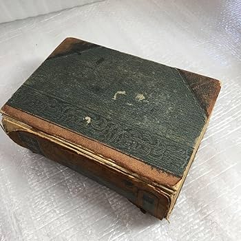 Amazon.co.jp: 辞林 三省堂 古本 辞書 文学博士 金澤庄三郎 編集 明治