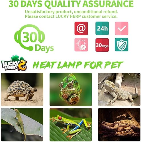 Miniatura 7 de LUCKY HERP Paquete de 4 bombillas de calor para reptiles de 50 W (2 generación), bombilla anfibia, bombilla de luz diurna de reptil para tortuga,