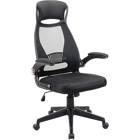 T-THREE.High Back Ergonomic Computer Chair Swivel Office Chair,Desk ...