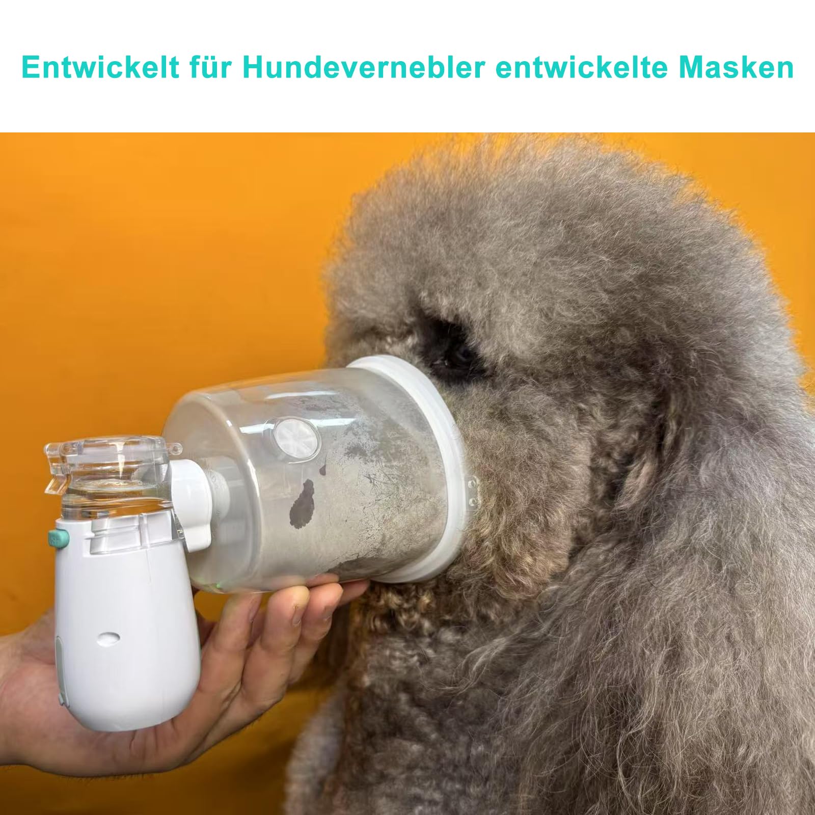 Hundevernebler, Hundevernebler und Inhalationsmaske, geräuscharm, geeignet für große Hunde, Grün (L)