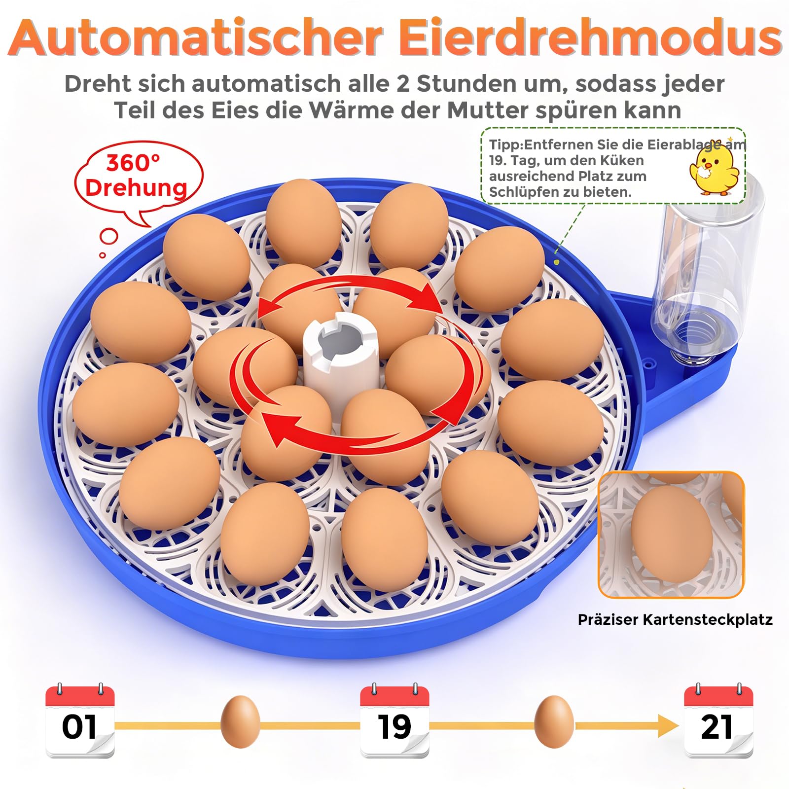 Couveuse Oeuf Automatique,Ambesty Incubateur 18 Oeuf de Poule avec Humidité+Rotation Automatique+Mire-œufs, Contrôle Numérique de la Température pour l'incubation des Poussin et Cailles