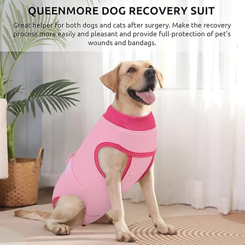 Miniatura 6 de Queenmore Traje de recuperación para perros y gatos después de la cirugía, traje de recuperación quirúrgica para gatos, camisa profesional de