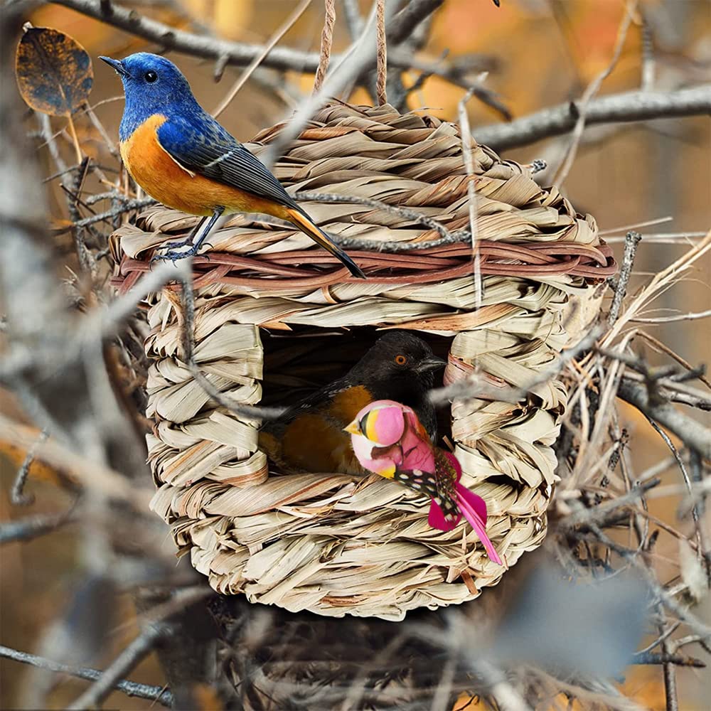 2 Piezas Nidos de Pájaros, Nido de pájaro Colgante, Nido Pajaros Exterior Colgante, Casa de Pajaros Exterior, Tejidas a Mano Hierba Nidos para Pajaros, para Pájaros Pequeños Como Colibrí (15x15 cm) — view 6
