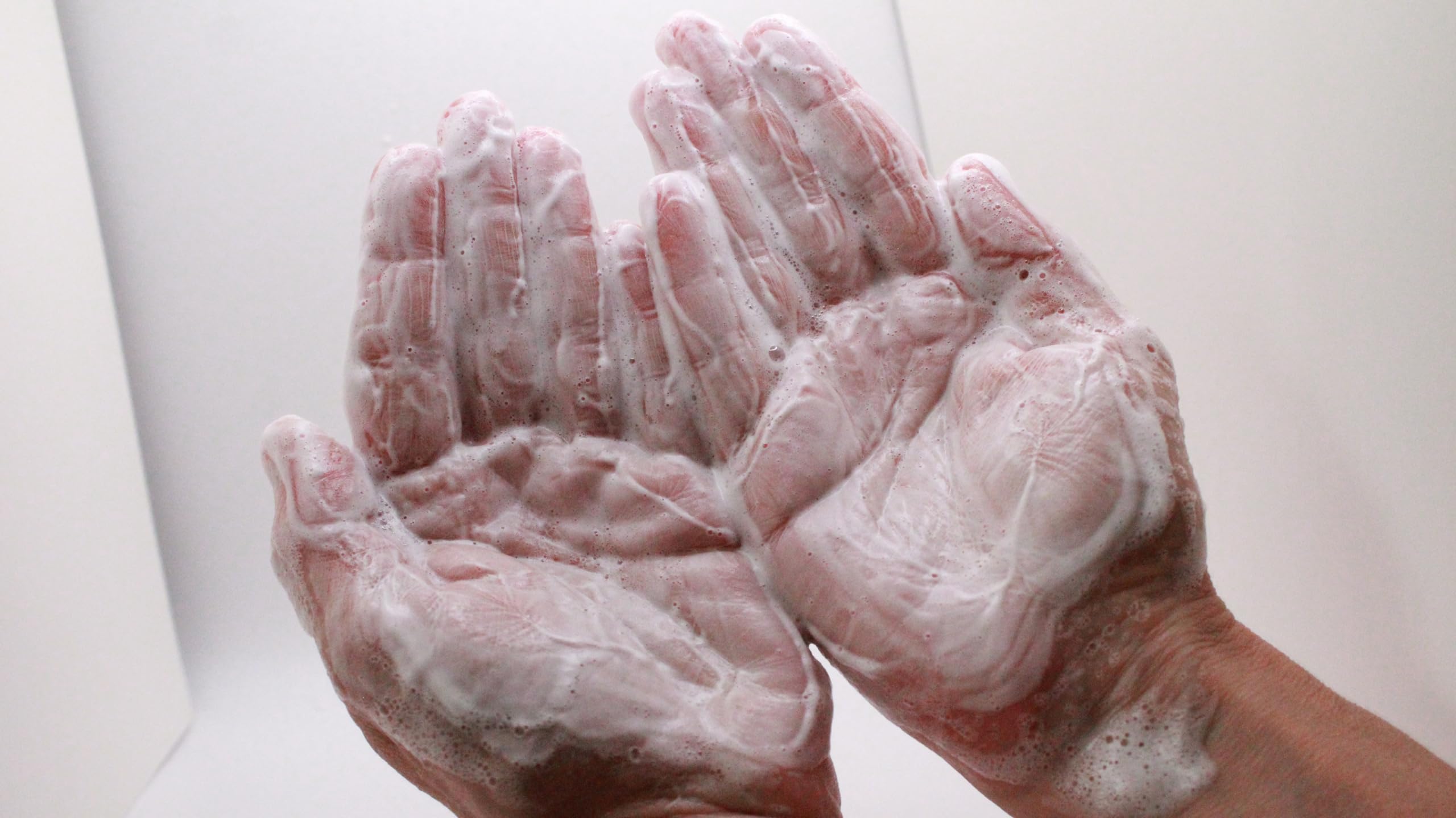 Savon au Lait de Chèvre Frais Bio - Saponification à Froid, Parfait pour Eczéma, Psoriasis, Acné - Hydratant et Apaisant, Peau Douce (1, senteur naturelle lait de chèvre)