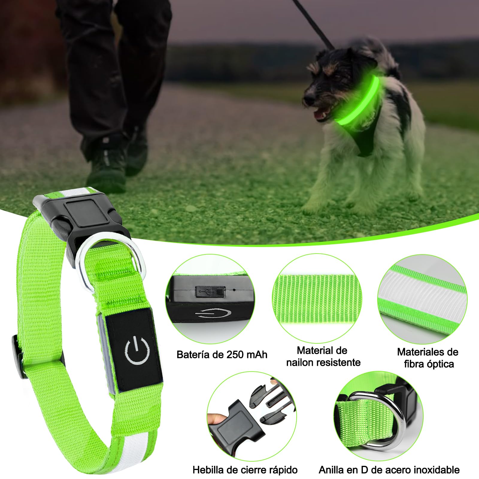 Collar Luminoso Para Perros Recargable USB - LED Con 3 Modos (fijo, Lento, Rápido), Talla S (35-40 Cm), Resistente Al Agua, Color Verde, Seguridad Nocturna