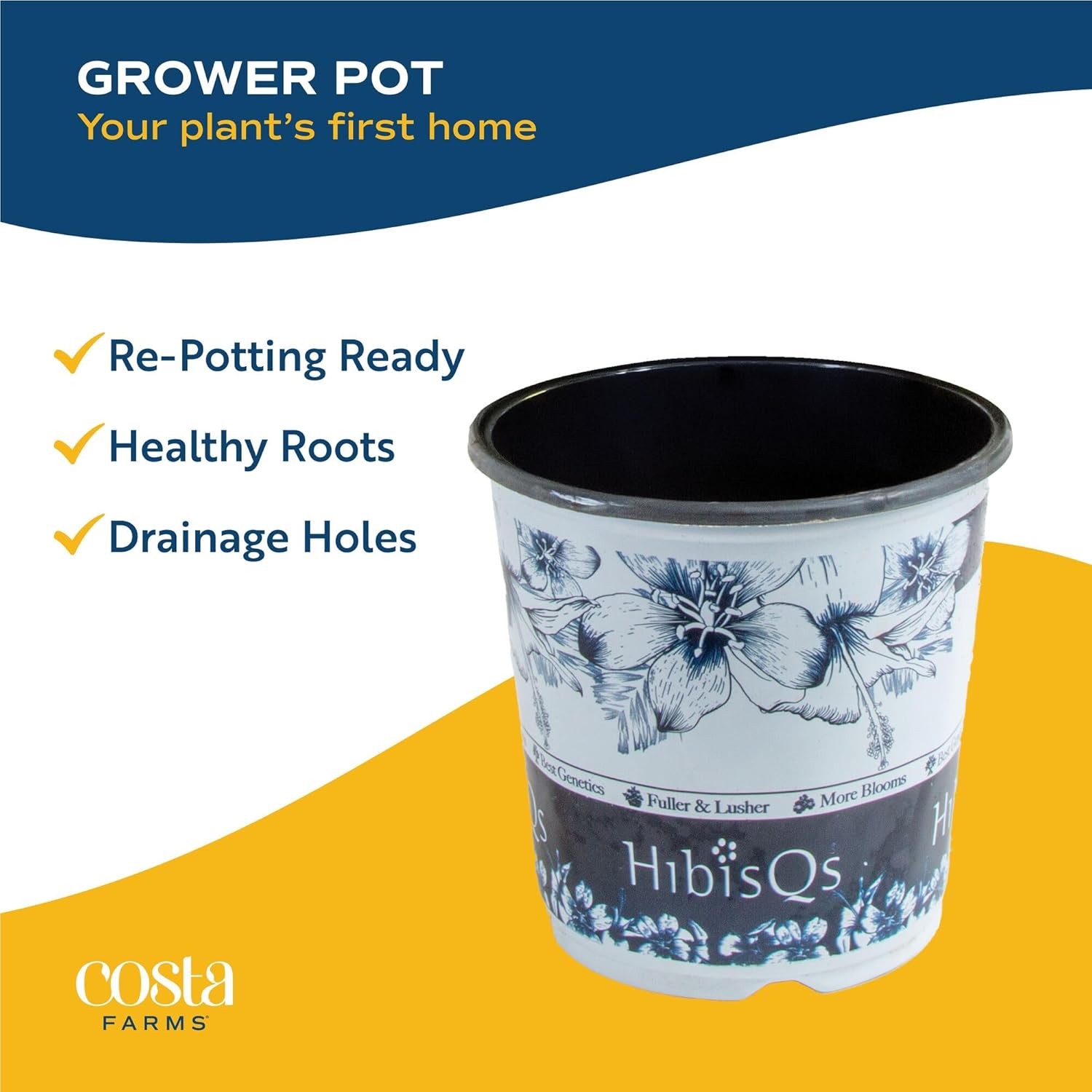 Costa Farms Live Hibiscus Plant - Red Tropical Outdoor Flowering Plant, 1 Gallon Grower Pot, 16-Inches Tall - Real Summer Flowers for Patio, Deck & Garden Decor - Hummingbird & Butterfly Attractor