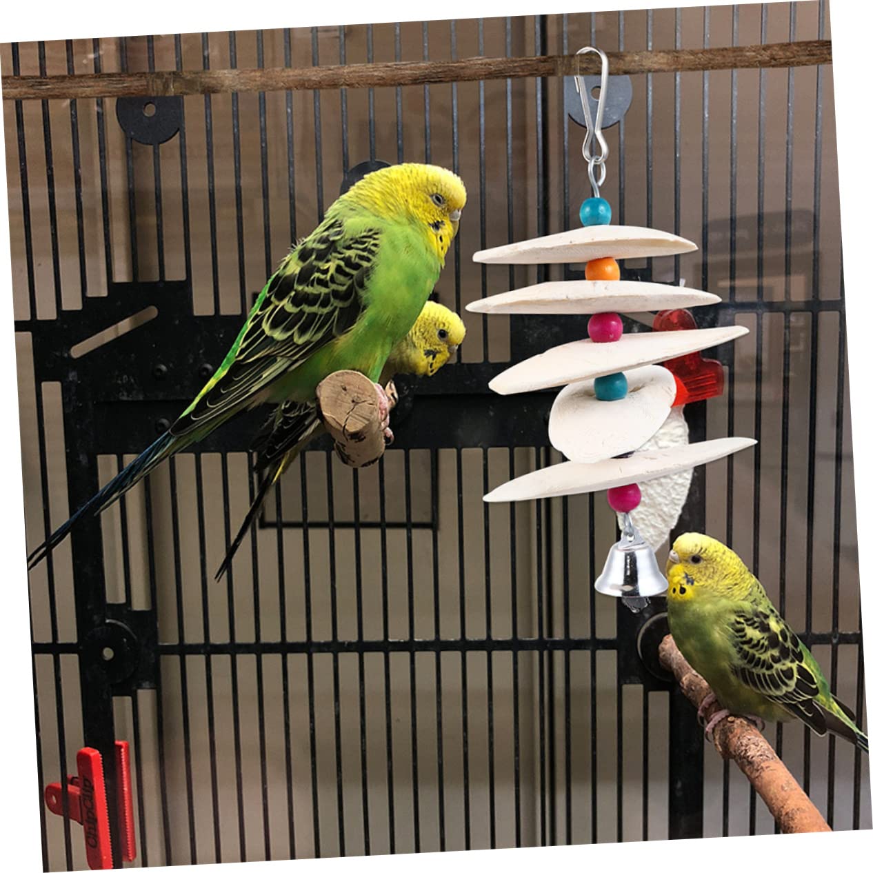Angoily 6pièces à Mâcher De Seiche pour Oiseaux Complément De Jouet Amusant pour Perroquets Et Oiseaux Résistant Mastication Couleur Aléatoire Petite