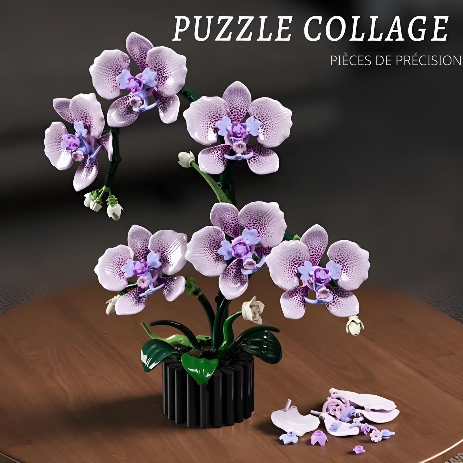 Kit de blocs de construction de fleurs d'orchidée violette, 619 pièces, modèle de la collection botanique pour décoration d'intérieur, ensemble de briques florales artificielles, excellent cadeau pour