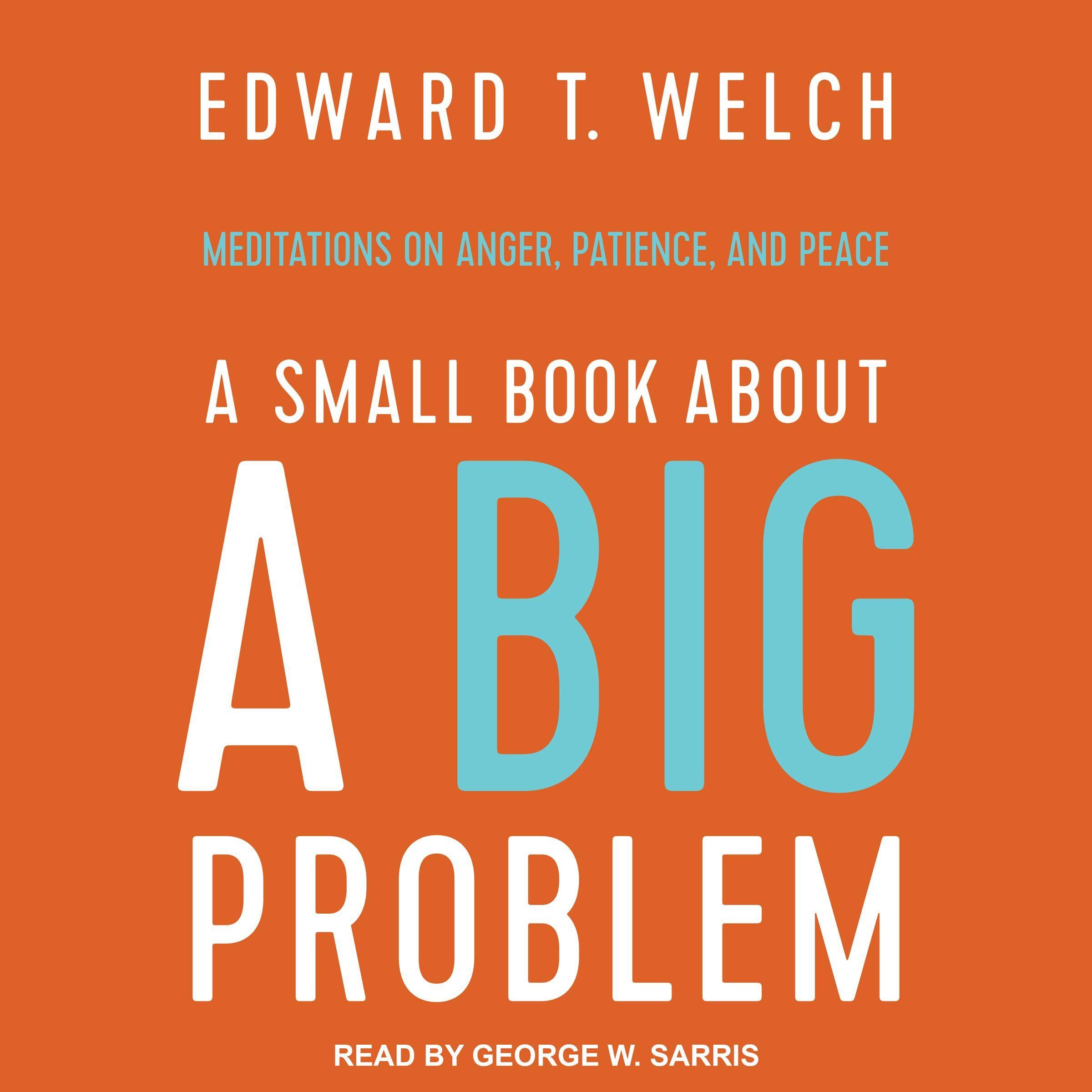 Cover art for A Small Book about a Big Problem