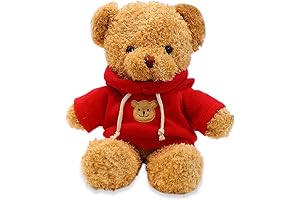 Teddy Bear Stuffed Animal in Hoodie