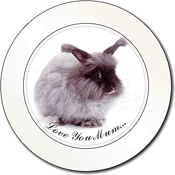 i love rabbit online shop