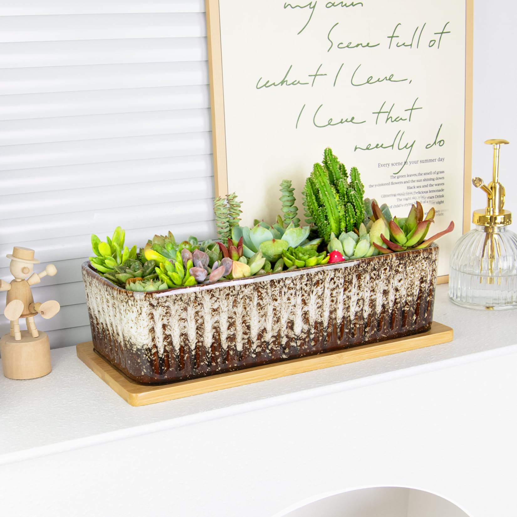 Amazon.com: Succulent Pots - 12 Inch Large Succulent Planters with Drainage  Tray, Window Sill Planter, Long Rectangle Ceramic Pots for Indoor Cactus  Plants Shallow Bonsai Window Box for Home Garden Decor :